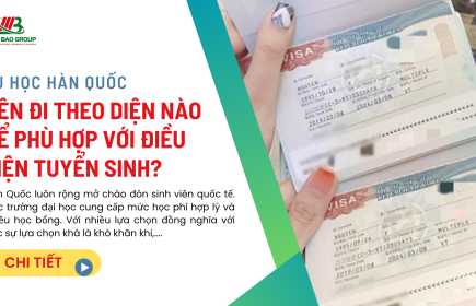 Du học Hàn Quốc nên đi theo dạng visa nào?