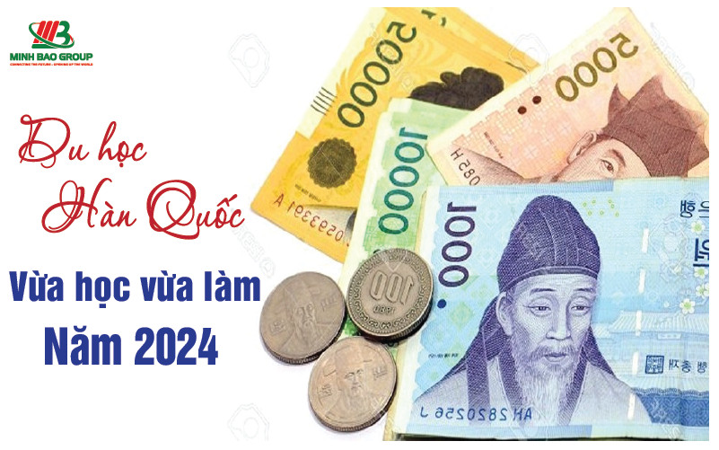 Du Học Hàn Quốc Vừa Học Vừa Làm Năm 2024 6 Một số lưu ý khi du học Hàn Quốc vừa học vừa làm