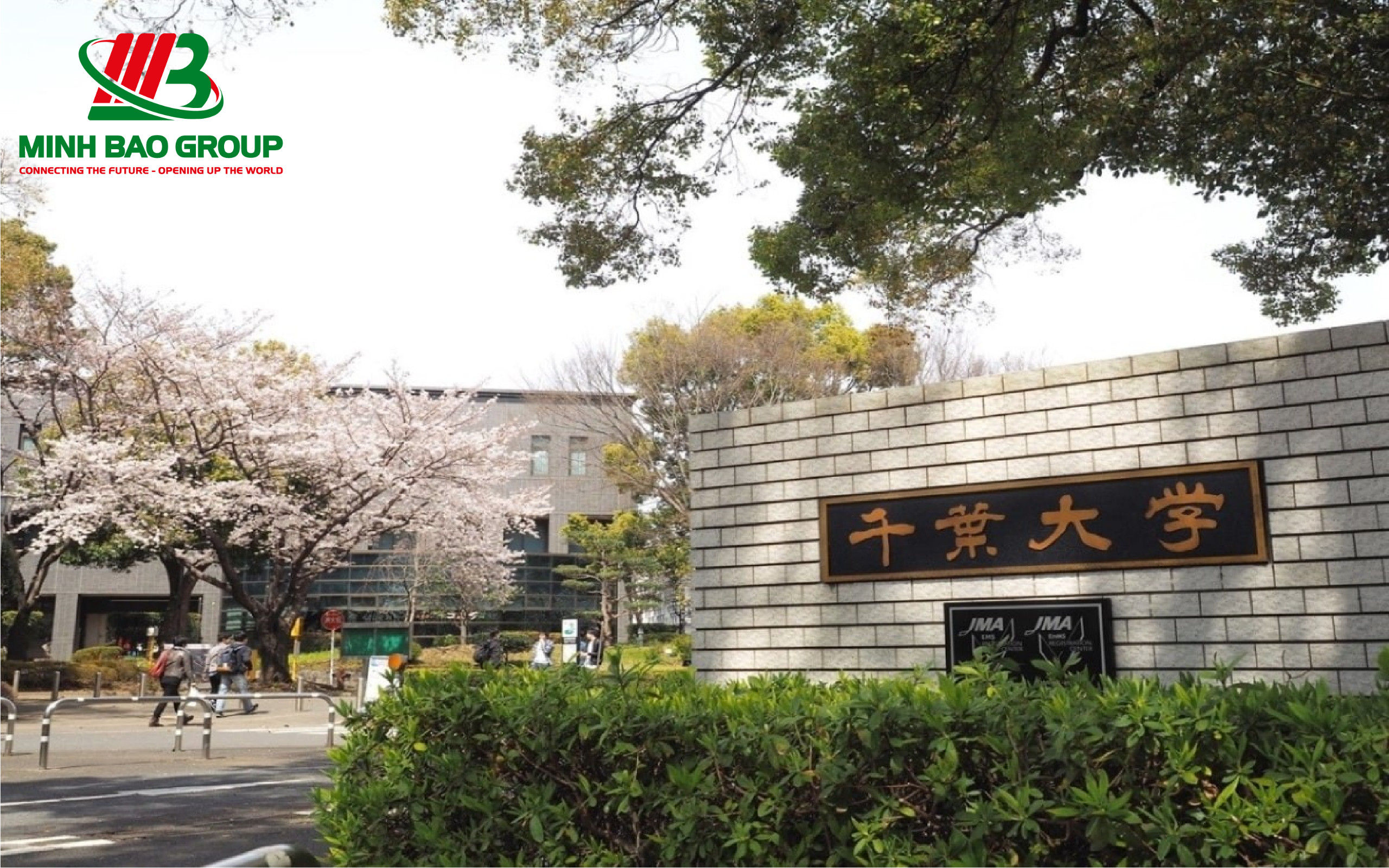 Vì Sao Nên Du Học Nhật Bản Ngành Kế Toán? 8 Đại học Chiba