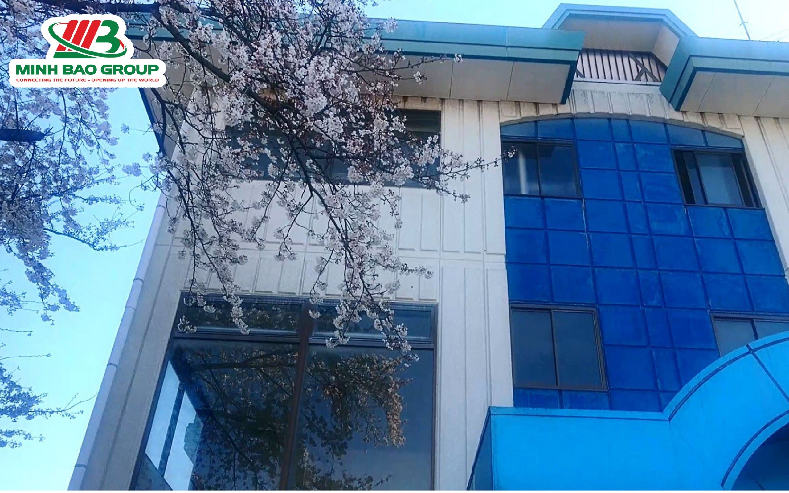Top 5 Trường Nhật Ngữ Ở Chiba Được Đánh Giá Tốt Nhất 6 Trường Nhật ngữ Miyabi