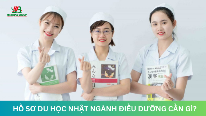 Có nên đi du học Nhật ngành điều dưỡng không?