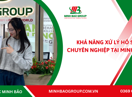 Khả Năng Xử Lý Hồ Sơ Chuyên Nghiệp tại Minh Bảo