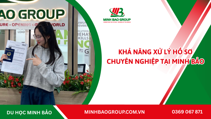 Khả Năng Xử Lý Hồ Sơ Chuyên Nghiệp tại Minh Bảo